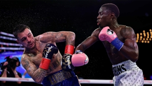 HITCHINS ZASTOPOWAŁ KAMBOSOSA