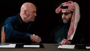 8 KATEGORII WAGOWYCH ZUFFY