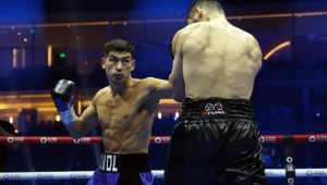 BIWOŁ - EIFERT BEZ PASA WBO W STAWCE