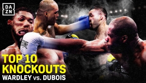 EFEKTOWNE NOKAUTY WARDLEYA I DUBOIS